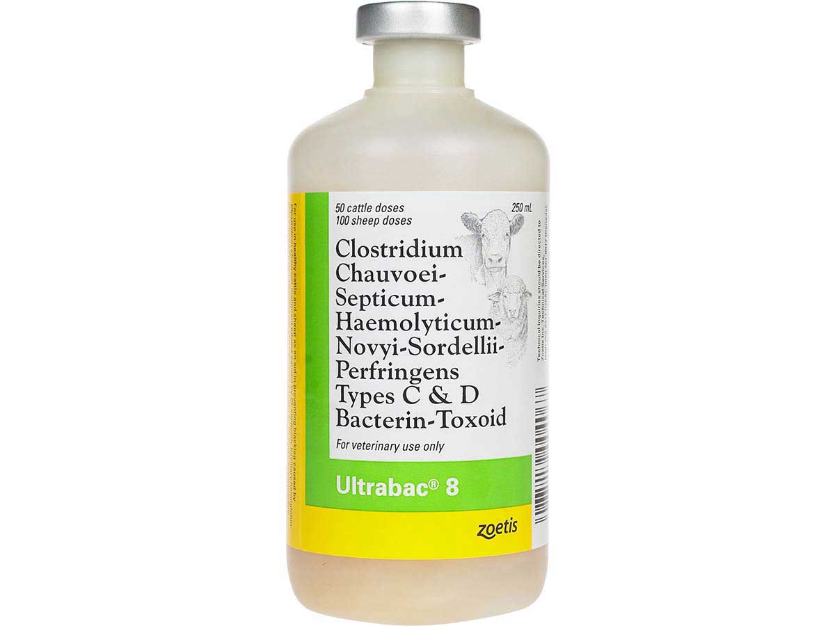 Ultrabac 8, 50 Dose