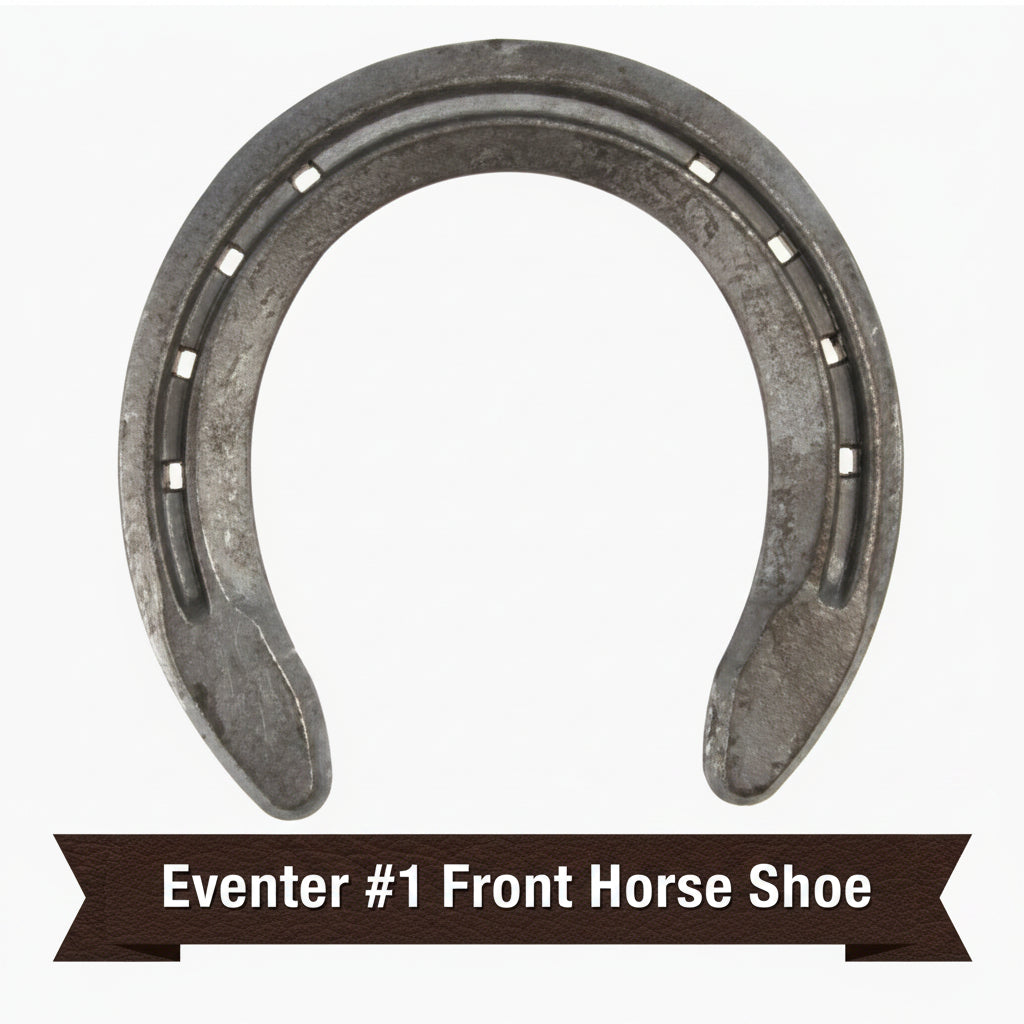 Eventer #1 Hind Horseshoe -St. Croix Forge