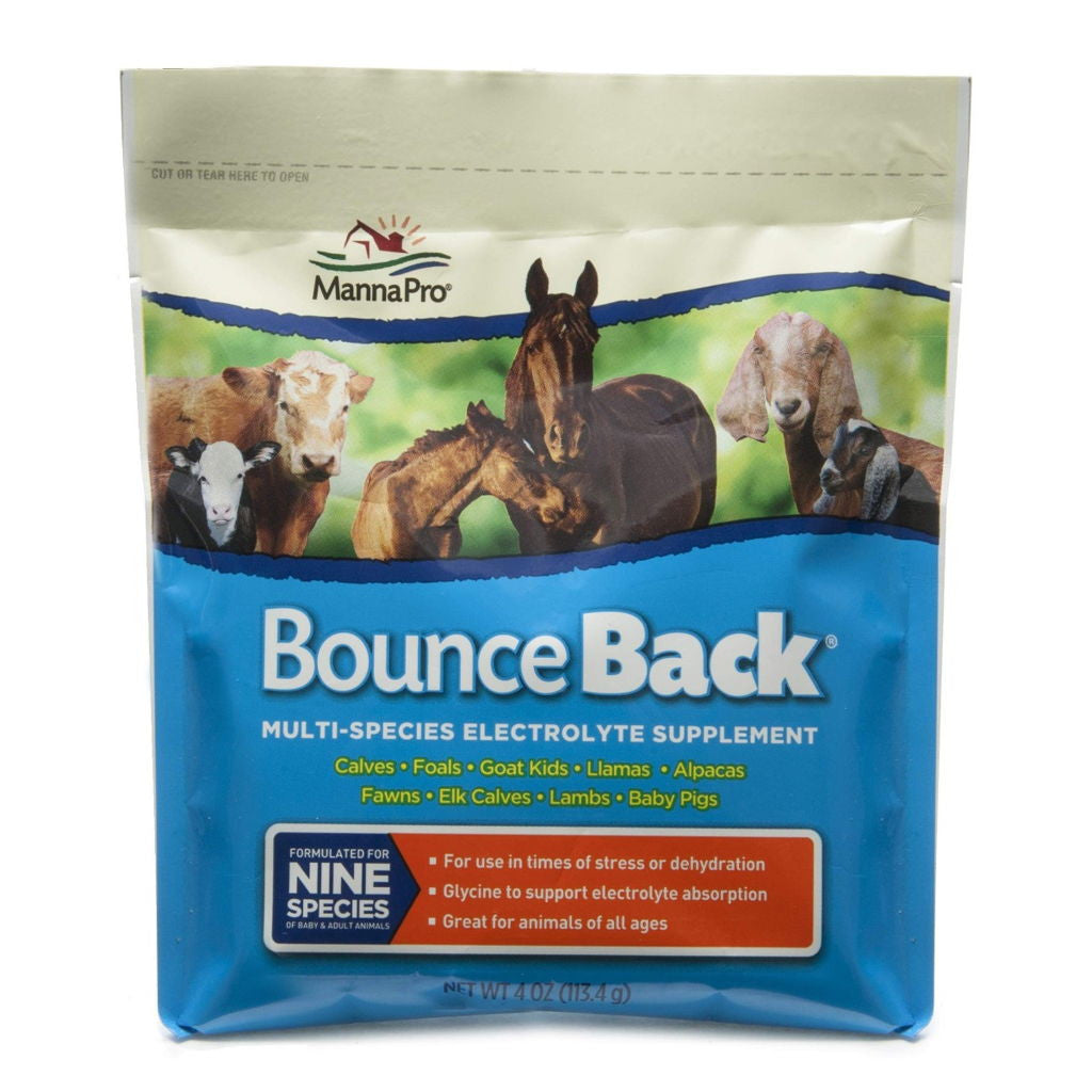 Manna Pro Bounce Back Multi-Species Electrolyte, 4oz