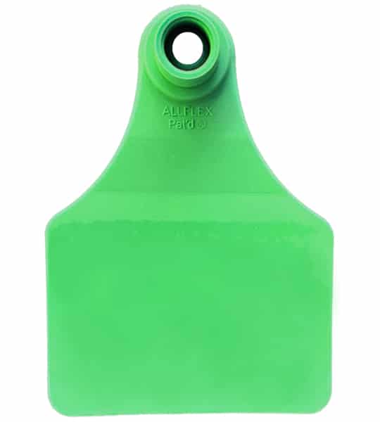 ALL FLEX LG FEM TAG GREEN