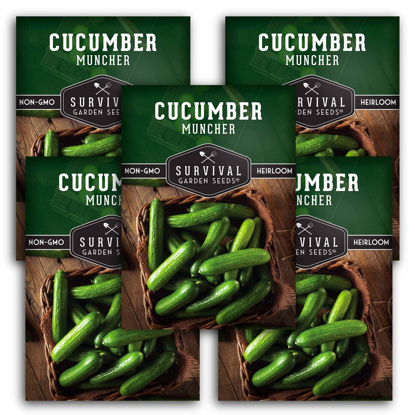 CUCUMBER MUNCHER BURPLESS SEEDS