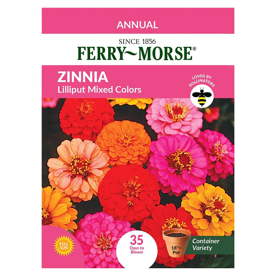 Ferry-Morse Zinnia Seeds - Lilliput Mixed Colors