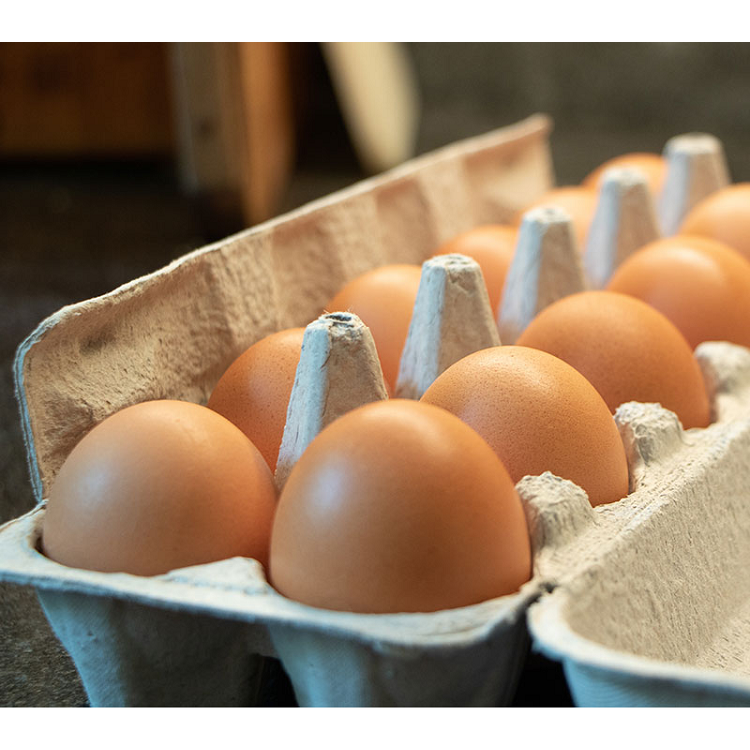 Farm Fresh Eggs (1 Dozen)