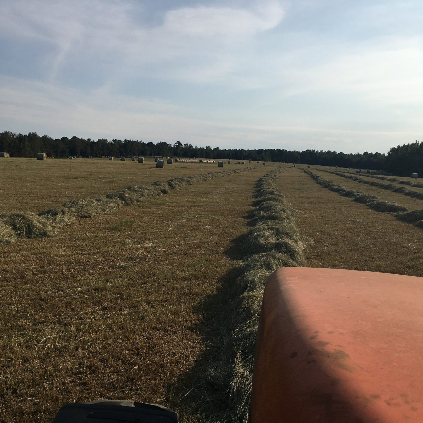 3-WAY HAY BALES 80#