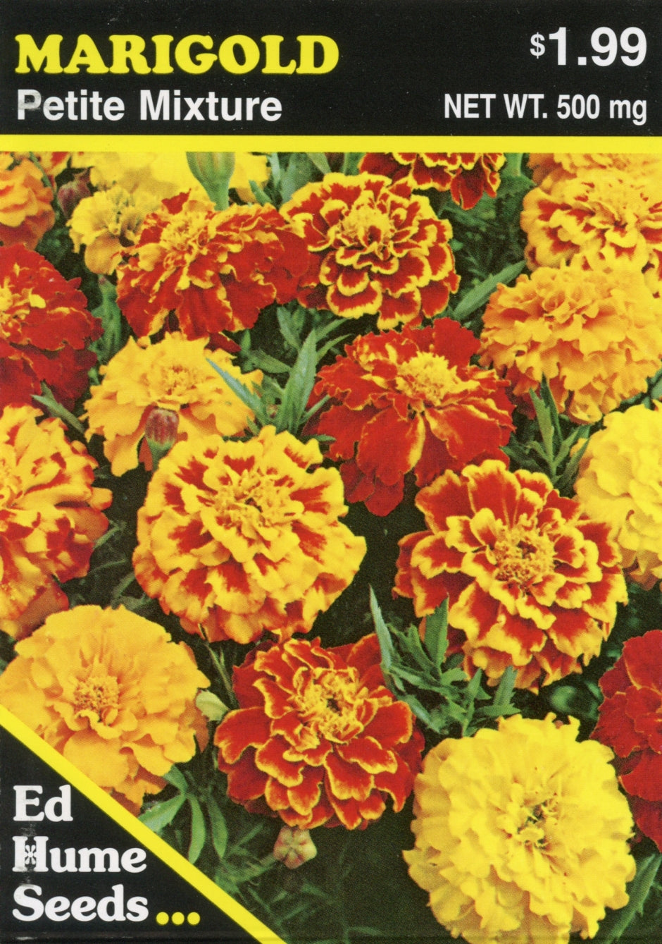 MARIGOLD PETITE SEEDS