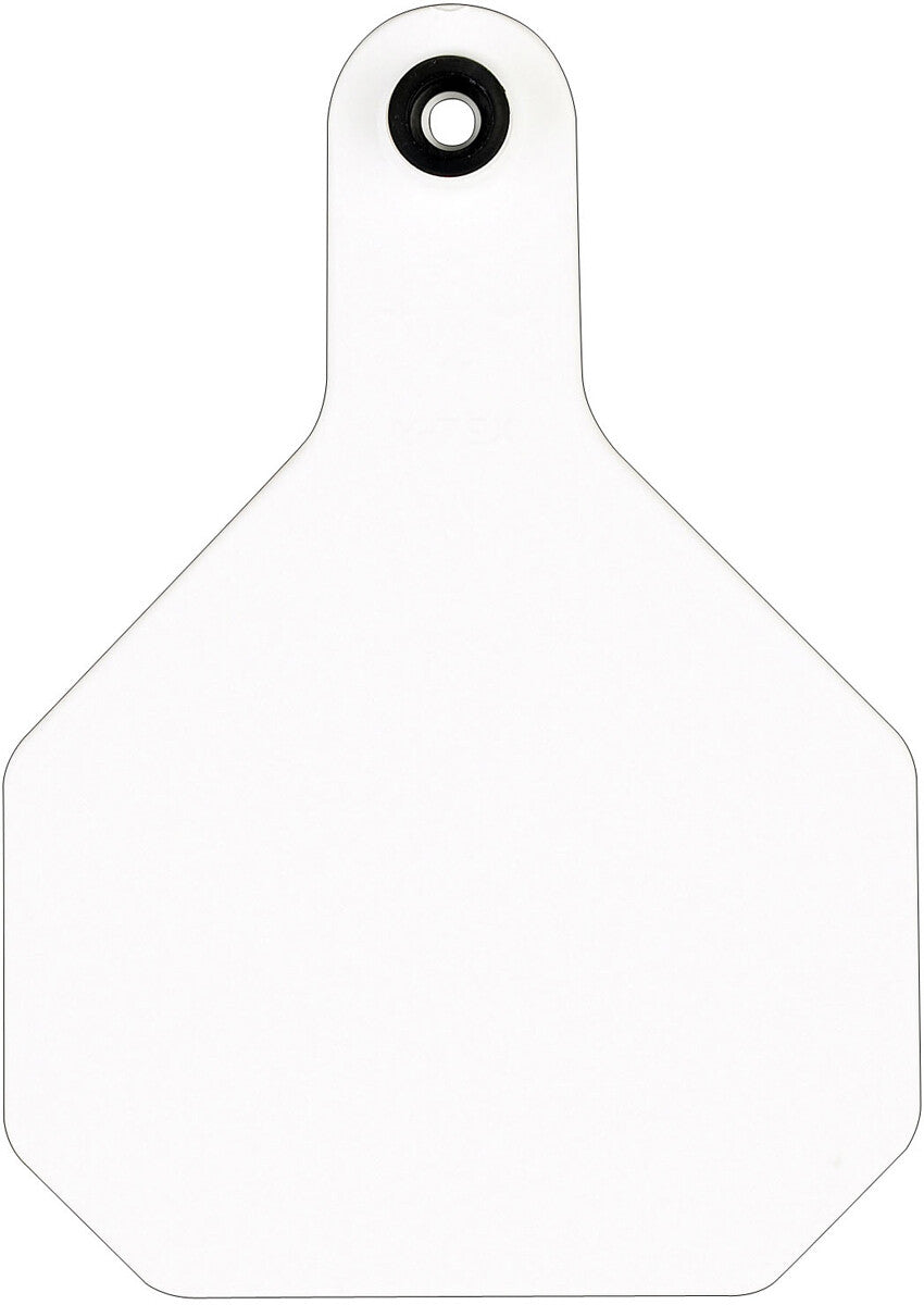 Y-TEX 4 STAR TAG LG WHITE