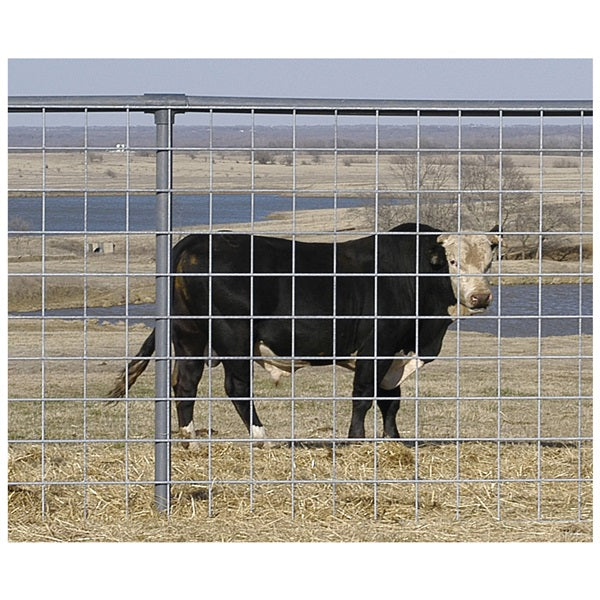 H&W- Wire Bull Panel- 60In X 16Ft-1GA