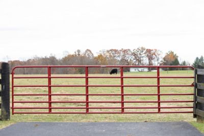 TARTER BULLMAX 2" GATE RED 16 FT