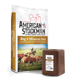 American Stockman Big 6 "Trace" Mineral Block, 50lb