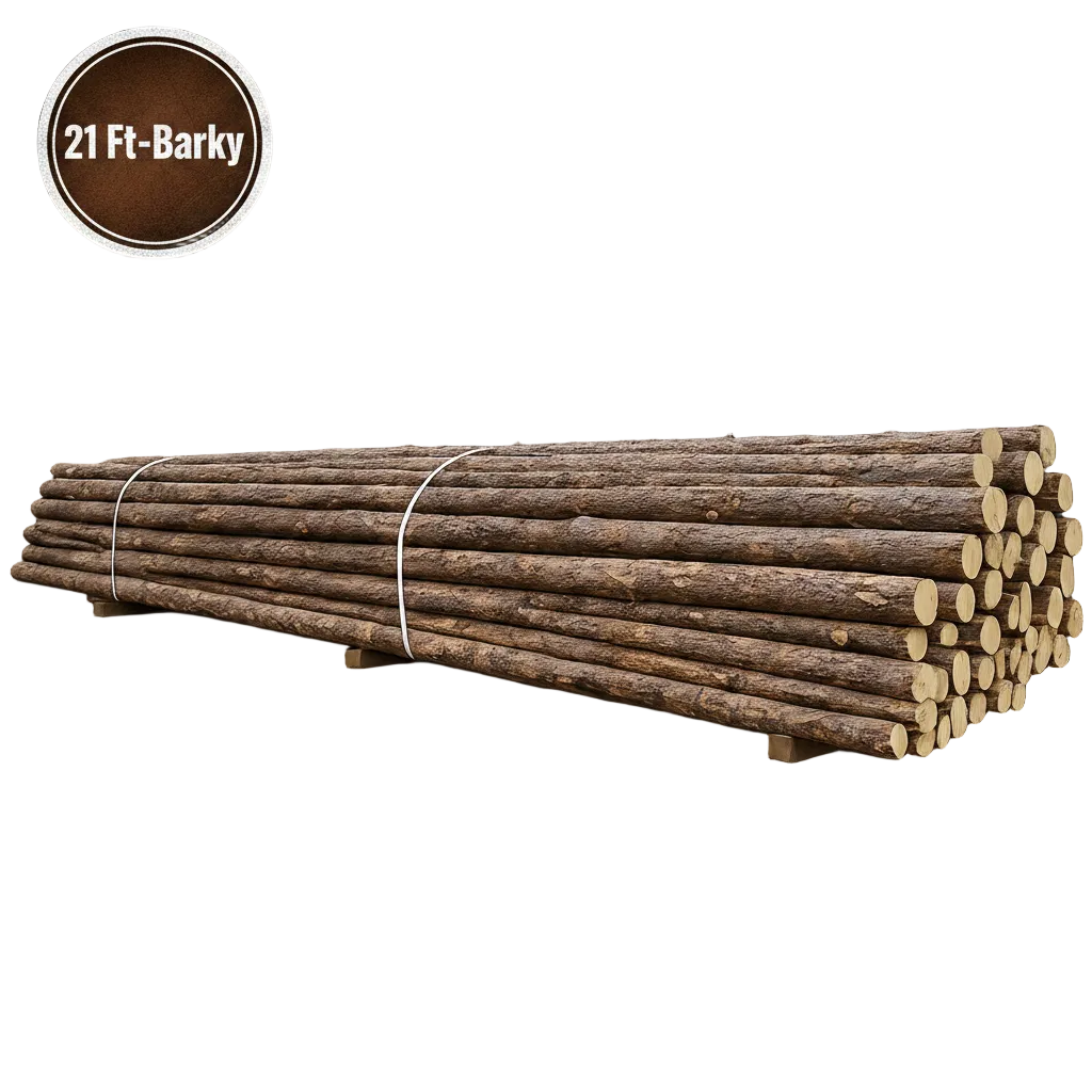 LODGE POLE BARKY 21' LG