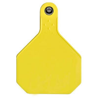 Y-TEX 4 STAR TAG LG YELLOW