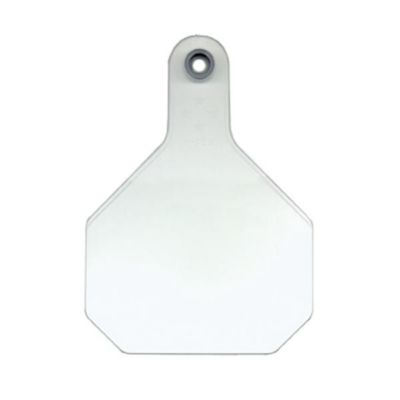 Y-TEX 3 STAR TAG MED WHITE