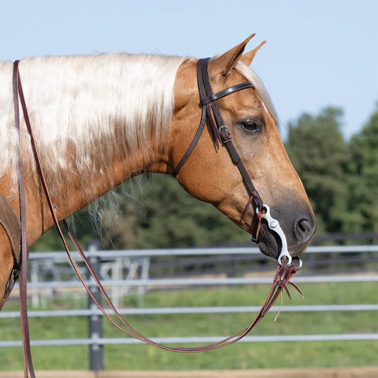 Weaver Skirting Leather Browband Headstall with Water Tie Ends - 5/8"
