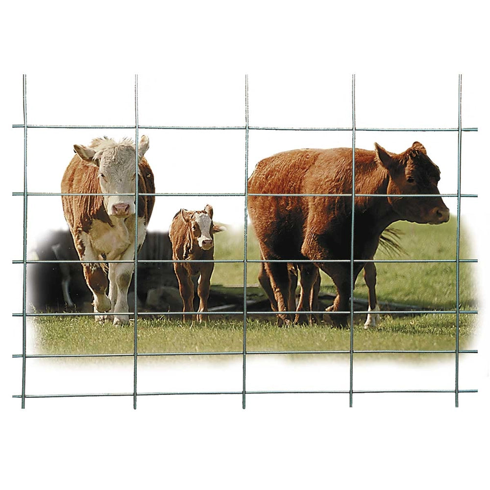 Hutchison-HW Brand-Wire Cattle Panel 4 Gauge 50" x 8'