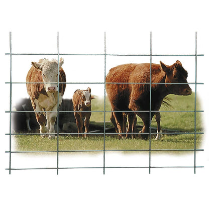 Hutchison-HW Brand-Wire Cattle Panel 4 Gauge 50" x 8'