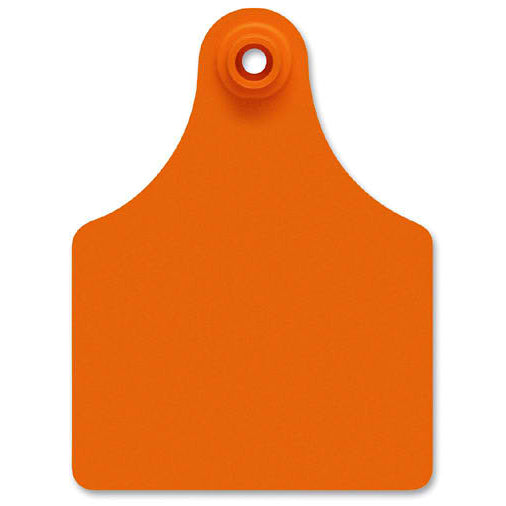 ALL FLEX MAXI FEM ORANGE