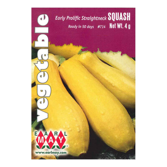 SQUASH EARLY PROLIFIC SEEDS