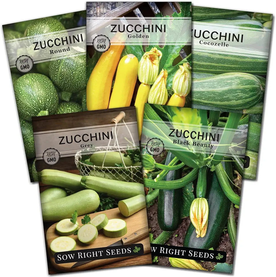 SQUASH ZUCCHINI GARDEN SEEDS