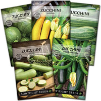 SQUASH ZUCCHINI GARDEN SEEDS