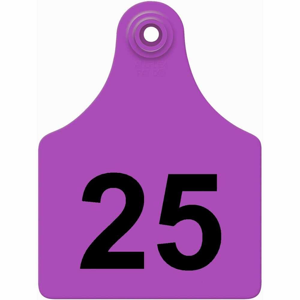 ALL FLEX MAXI FEM PURPLE #1-25