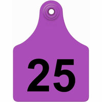 ALL FLEX MAXI FEM PURPLE #1-25