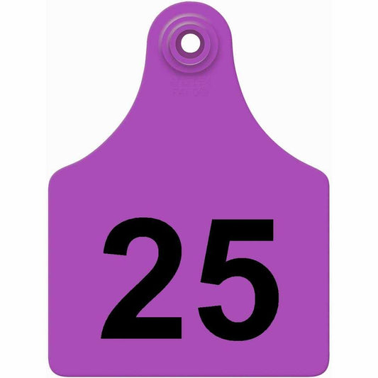 ALL FLEX MAXI FEM PURPLE #1-25