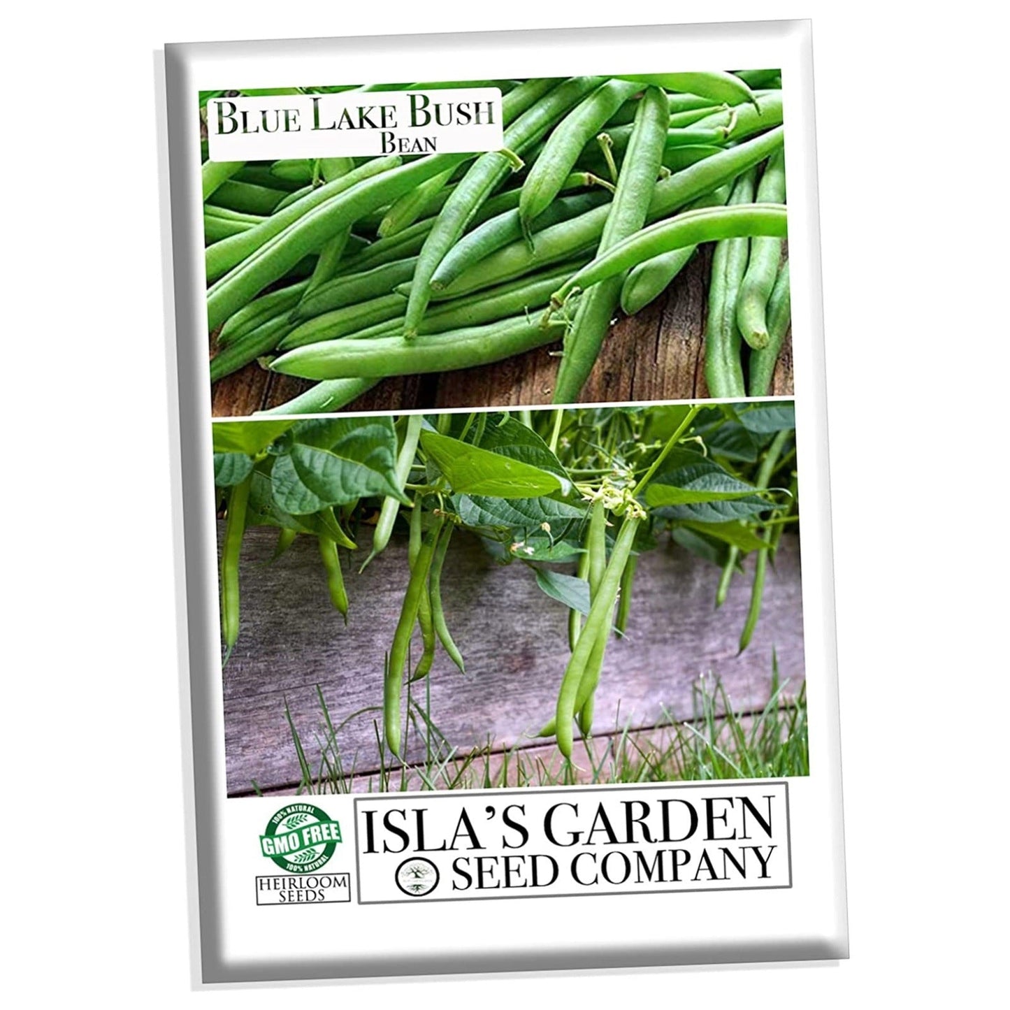 BEAN- BLUE LAKE BUSH GREEN SEEDS