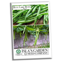 BEAN- BLUE LAKE BUSH GREEN SEEDS