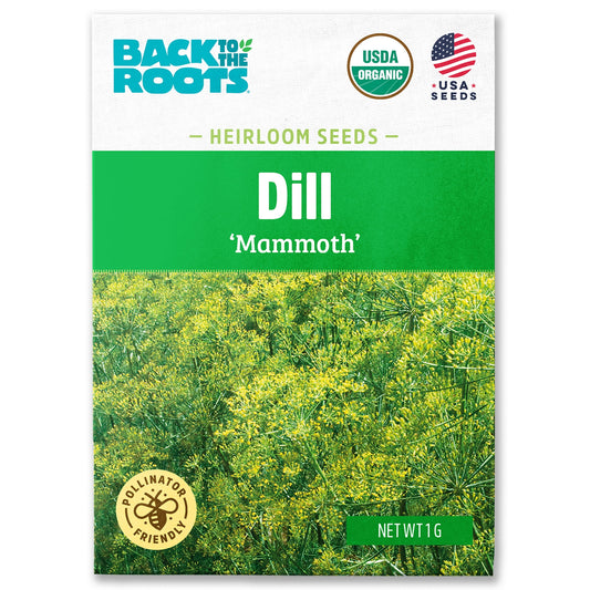 DILL MAMMOTH SEEDS