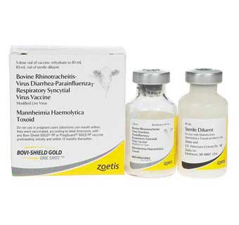 Bovi-Shield Gold BVD 5, 50 Dose