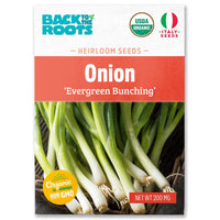 ONION EVERGREEN SEEDS