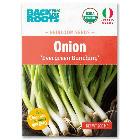 ONION EVERGREEN SEEDS