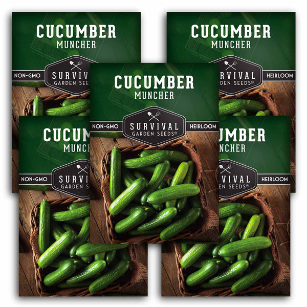 CUCUMBER MUNCHER BURPLESS SEEDS