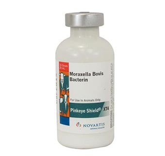 Pinkeye Shield XT4 vaccine, 10 Dose