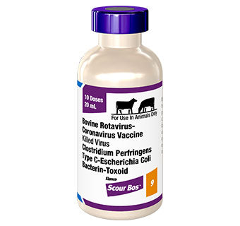 Scour Bos 9, 10 dose