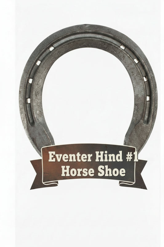 Eventer #1 Hind Horseshoe-St. Croix Forge (Each)