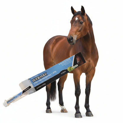 First Companion Ivermax (Ivermectin) Equine Paste