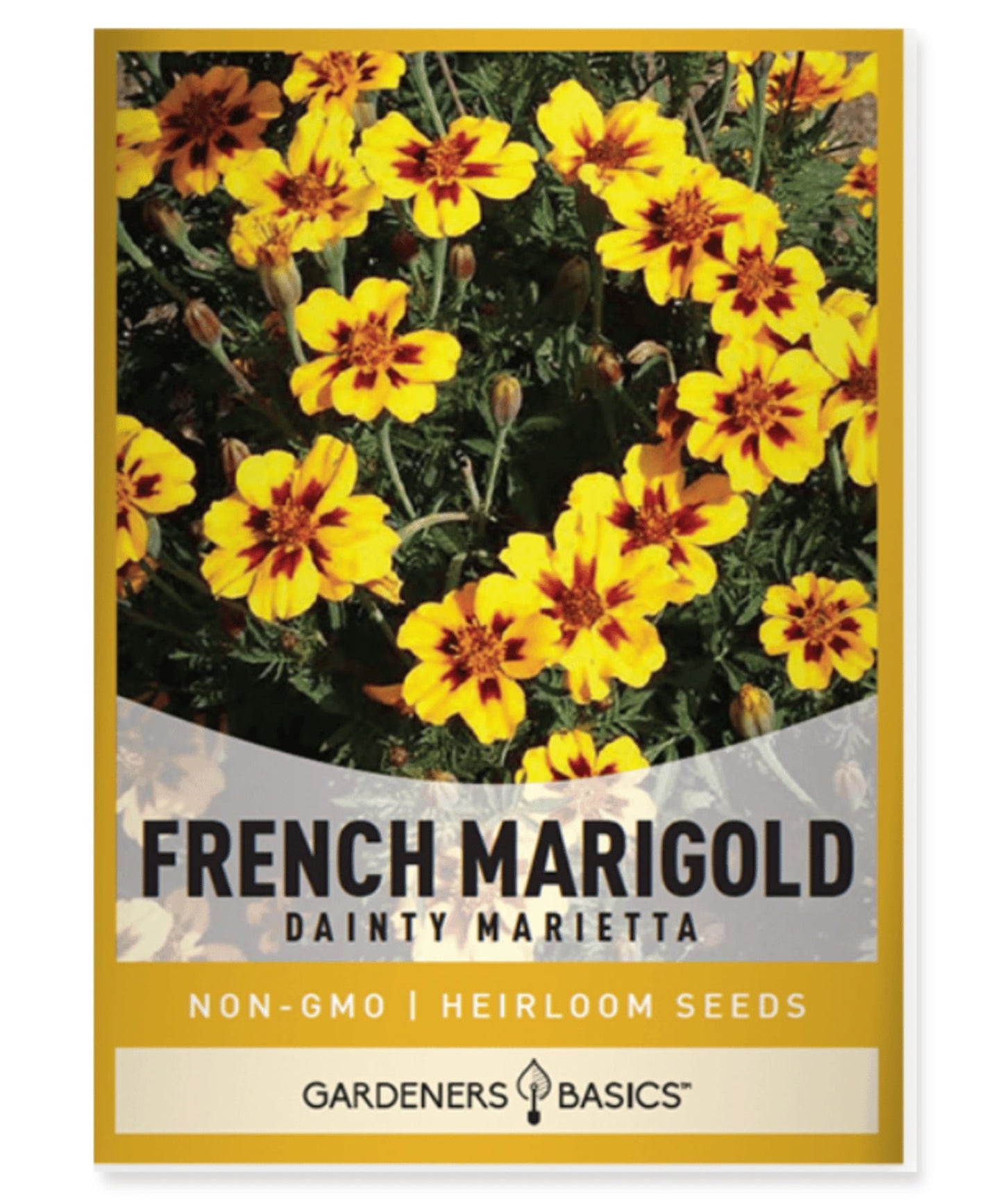 MARIGOLD DAINTY MARIETTA SEEDS
