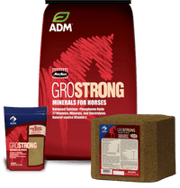ADM Grostrong Block, 33lb