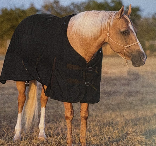 Insulated Nylon Horse Blanket – 300g Fill | 12 Denier Shell | 69", 72", or 75"