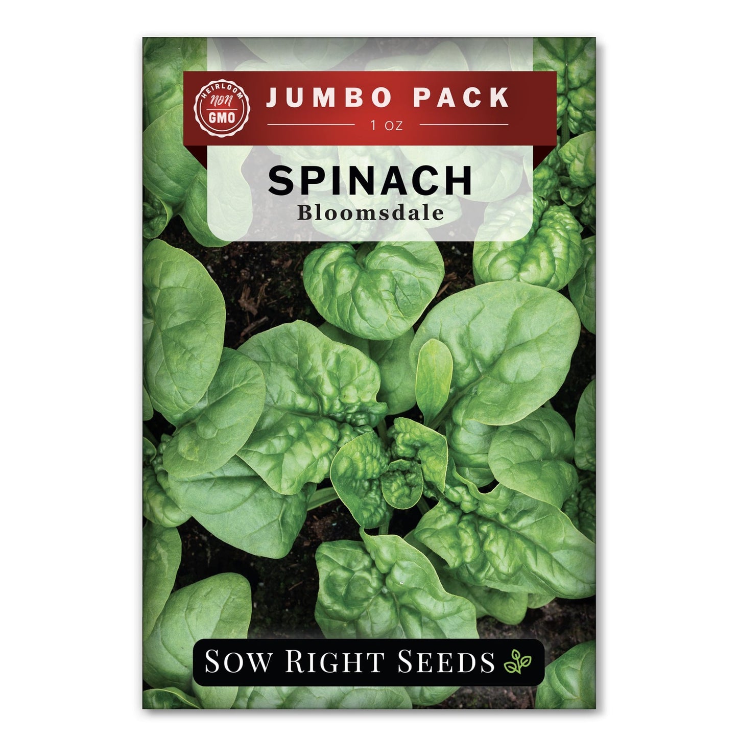 SPINACH BLOOMSDALE SEEDS