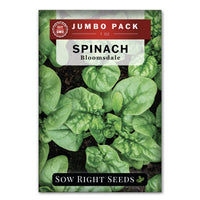 SPINACH BLOOMSDALE SEEDS