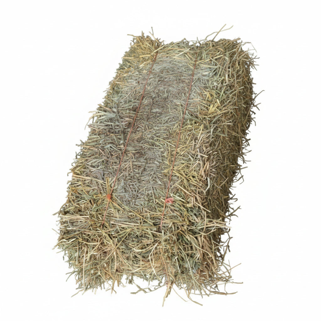 Moldy 3-String Alfalfa Hay