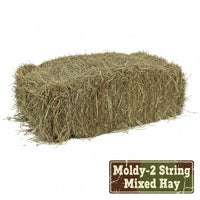 Moldy 2-String Mix Hay