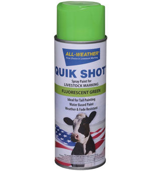 Markal-All Weather-Quick Shot Inveted Tip Spray Paint-13 Oz-Green