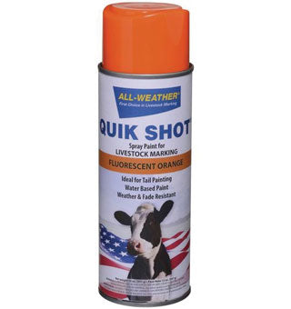 Markal-All Weather-Quick Shot Inveted Tip Spray Paint-13 Oz-Orange