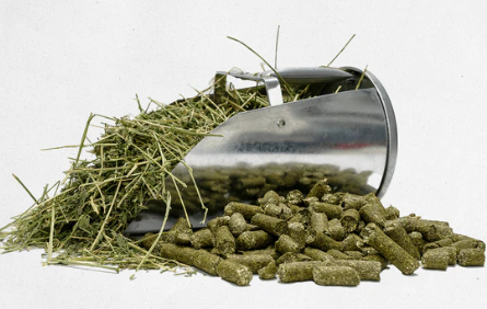 Medalist-Mini Alfalfa Pellet 50 lb Bag