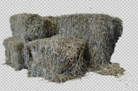 Moldy 3-String Orchard Hay