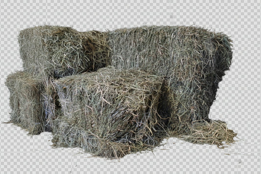 Moldy 3-String Orchard Hay