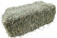 3-String Orchard Grass Hay